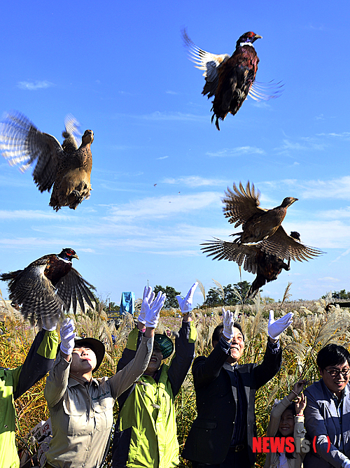 만든곳: Daum 카페: 한국 네티즌본부