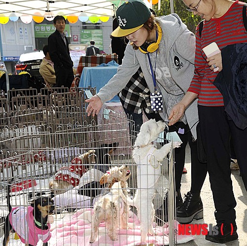 만든곳: Daum 카페: 한국 네티즌본부