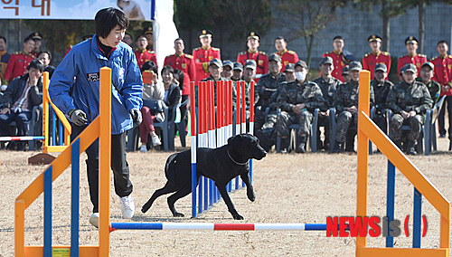 만든곳: Daum 카페: 한국 네티즌본부