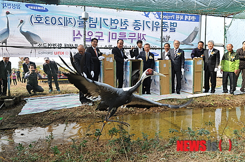 만든곳: Daum 카페: 한국 네티즌본부