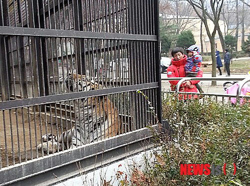 만든곳: Daum 카페: 한국 네티즌본부