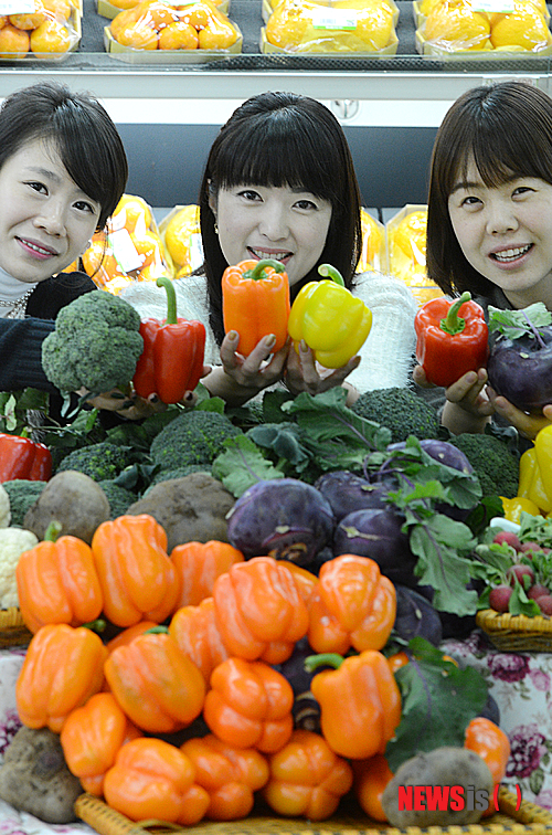 사진이 안 보일때:→우칙클릭 →사진보기 클릭. 작성: Daum카페: 한국 네티즌본부