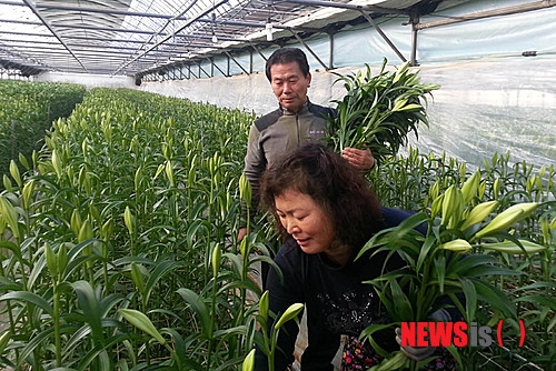 사진이 안 보일때:→우칙클릭 →사진보기 클릭. 작성: Daum카페: 한국 네티즌본부