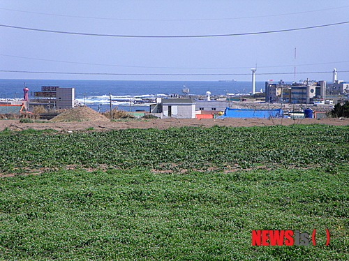 사진이 안보일 때→우측클릭→'사진보기' 클릭, OK. ☞작성: Daum카페: 한국 네티즌본부