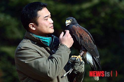 사진이 안보일 때→우측클릭→'사진보기' 클릭, OK. ☞작성: Daum카페: 한국 네티즌본부