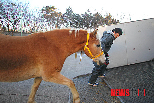 사진이 안보일 때→우측클릭→'사진보기' 클릭, OK. ☞작성: Daum카페: 한국 네티즌본부