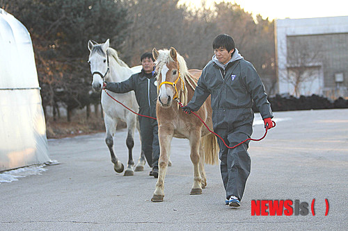 사진이 안보일 때→우측클릭→'사진보기' 클릭, OK. ☞작성: Daum카페: 한국 네티즌본부