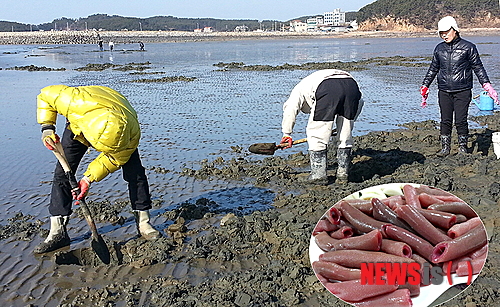 사진이 안보일 때→우측클릭→'사진보기' 클릭, OK. ☞작성: Daum카페: 한국 네티즌본부