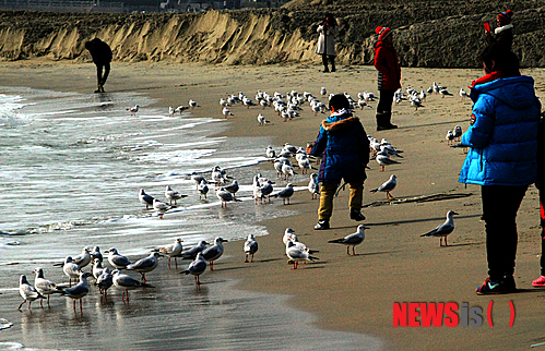 사진이 안보일 때→우측클릭→'사진보기' 클릭, OK. ☞작성: Daum카페: 한국 네티즌본부