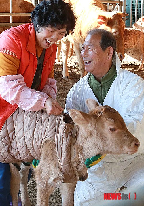 사진이 안보일 때→우측클릭→'사진보기' 클릭, OK. ☞작성: Daum카페: 한국 네티즌본부