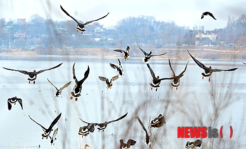 사진이 안보일 때→우측클릭→'사진보기' 클릭, OK. ☞작성: Daum카페: 한국 네티즌본부