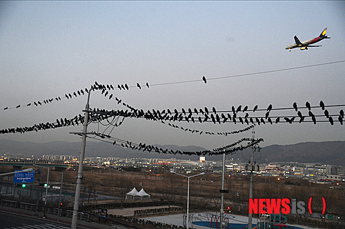 사진이 안보일 때→우측클릭→'사진보기' 클릭, OK. ☞작성: Daum카페: 한국 네티즌본부