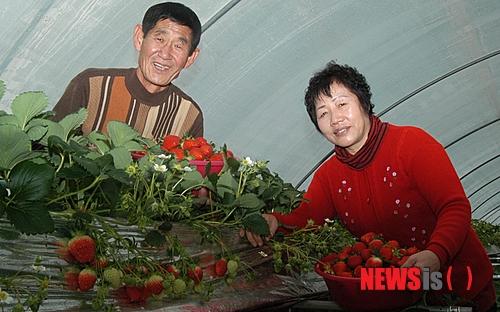 사진이 안보일 때→우측클릭→'사진보기' 클릭, OK. ☞작성: Daum카페: 한국 네티즌본부