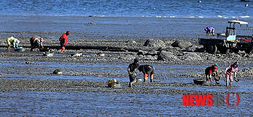 사진이 안보일 때→우측클릭→'사진보기' 클릭, OK. ☞작성: Daum카페: 한국 네티즌본부