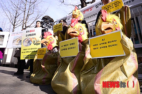 사진이 안보일 때→우측클릭→'사진보기' 클릭, OK. ☞작성: Daum카페: 한국 네티즌본부