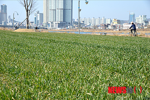 사진이 안보일 때→우측클릭→'사진보기' 클릭, OK. ☞작성: Daum카페: 한국 네티즌본부