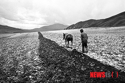 사진이 안보일 때→우측클릭→'사진보기' 클릭, OK. ☞작성: Daum카페: 한국 네티즌본부