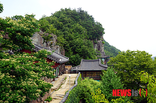 사진이 안보일 때→우측클릭→'사진보기' 클릭, OK. ☞작성: Daum카페: 한국 네티즌본부