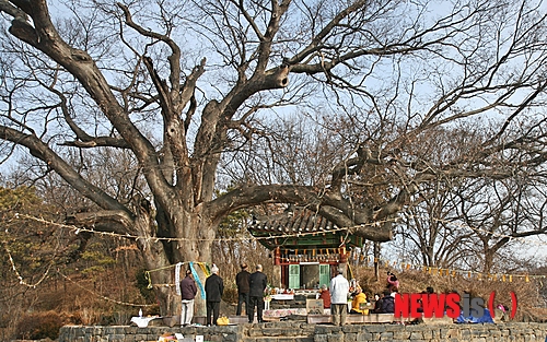 사진이 안보일 때→우측클릭→'사진보기' 클릭, OK. ☞작성: Daum카페: 한국 네티즌본부