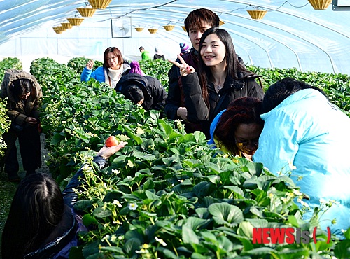 사진이 안보일 때→우측클릭→'사진보기' 클릭, OK. ☞작성: Daum카페: 한국 네티즌본부