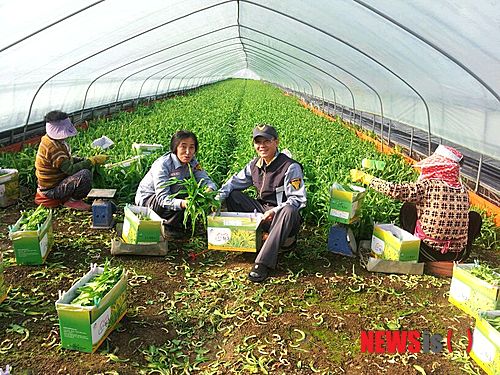 사진이 안보일 때→우측클릭→'사진보기' 클릭, OK. ☞작성: Daum카페: 한국 네티즌본부