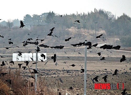 사진이 안보일 때→우측클릭→'사진보기' 클릭, OK. ☞작성: Daum카페: 한국 네티즌본부