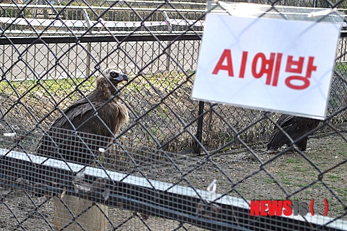 사진이 안보일 때→우측클릭→'사진보기' 클릭, OK. ☞작성: Daum카페: 한국 네티즌본부