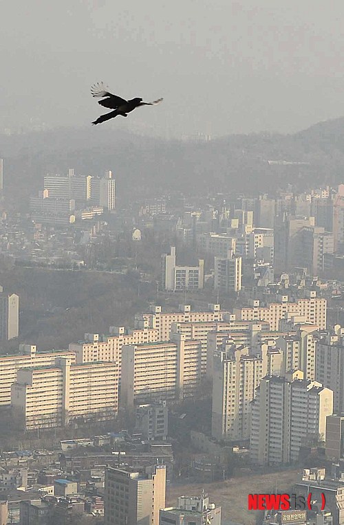 사진이 안보일 때→우측클릭→'사진보기' 클릭, OK. ☞작성: Daum카페: 한국 네티즌본부