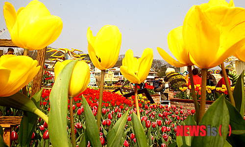 사진이 안보일 때→우측클릭→'사진보기' 클릭, OK. ☞작성: Daum카페: 한국 네티즌본부