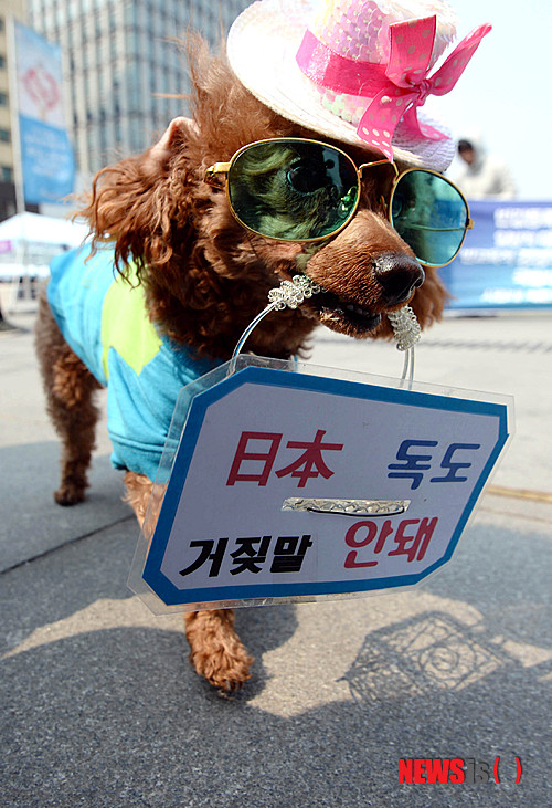 사진이 안보일 때→우측클릭→'사진보기' 클릭, OK. ☞작성: Daum카페: 한국 네티즌본부