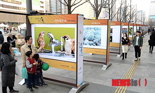 사진이 안보일 때→우측클릭→'사진보기' 클릭, OK. ☞작성: Daum카페: 한국 네티즌본부