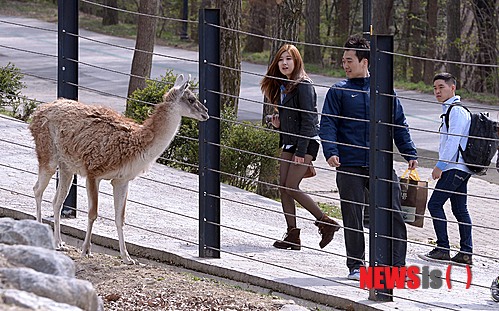 사진이 안보일 때→우측클릭→'사진보기' 클릭, OK. ☞작성: Daum카페: 한국 네티즌본부