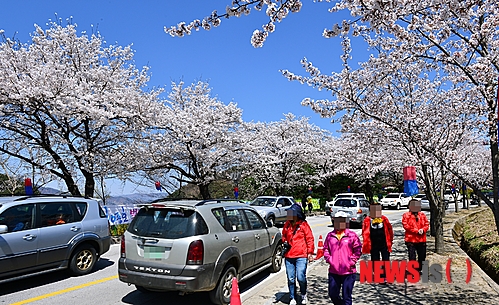 사진이 안보일 때→우측클릭→'사진보기' 클릭, OK. ☞작성: Daum카페: 한국 네티즌본부