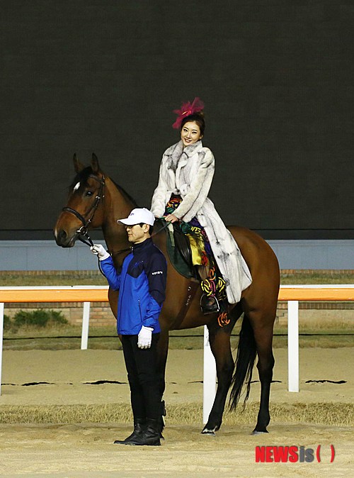 사진이 안보일 때→우측클릭→'사진보기' 클릭, OK. ☞작성: Daum카페: 한국 네티즌본부