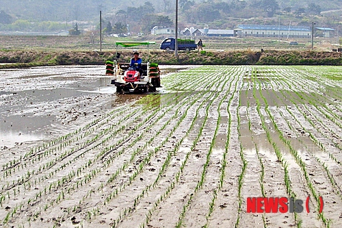 사진이 안보일 때→우측클릭→'사진보기' 클릭, OK. ☞작성: Daum카페: 한국 네티즌본부