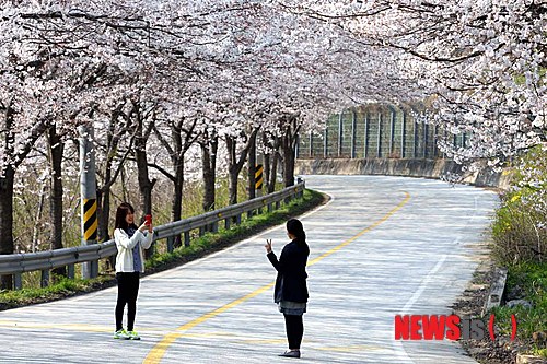 사진이 안보일 때→우측클릭→'사진보기' 클릭, OK. ☞작성: Daum카페: 한국 네티즌본부