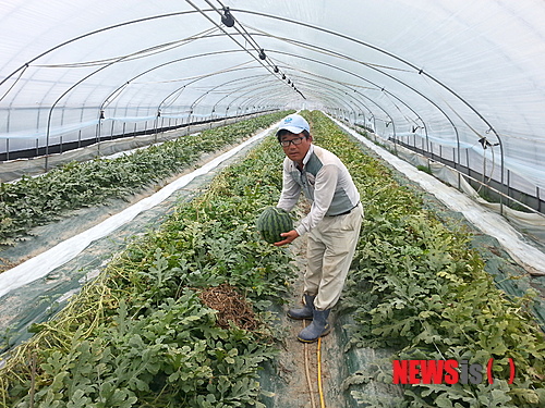 사진이 안보일 때→우측클릭→'사진보기' 클릭, OK. ☞작성: Daum카페: 한국 네티즌본부