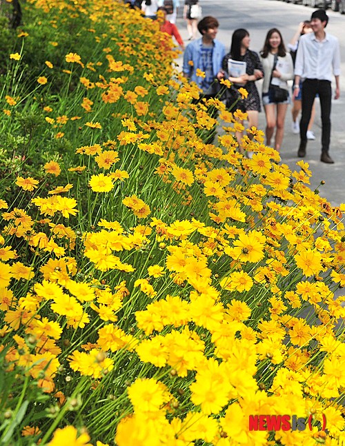 작성: 한국 네티즌본부