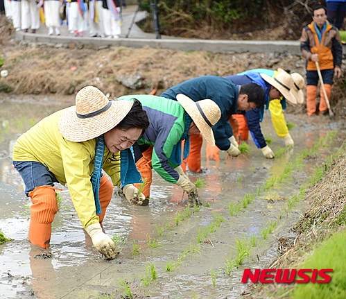 작성: 한국 네티즌본부