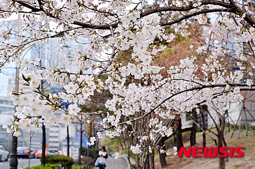 작성: 한국 네티즌본부