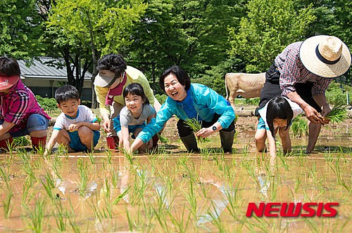 작성: 한국 네티즌본부