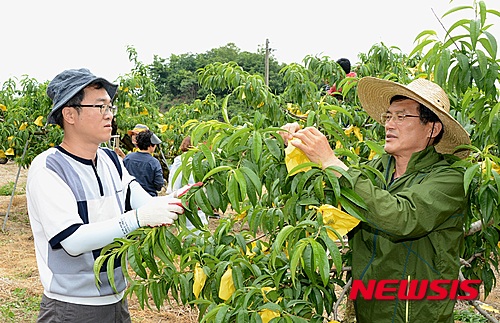 작성: 한국 네티즌본부