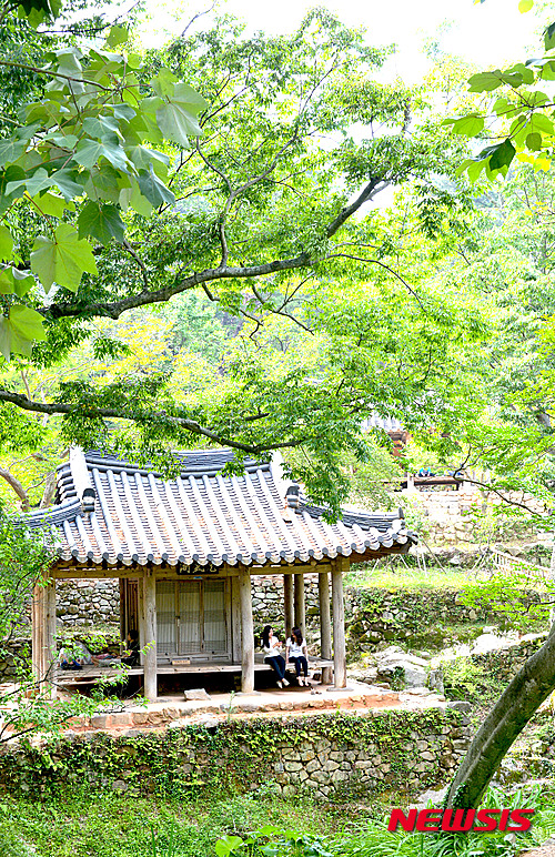 작성: 한국 네티즌본부