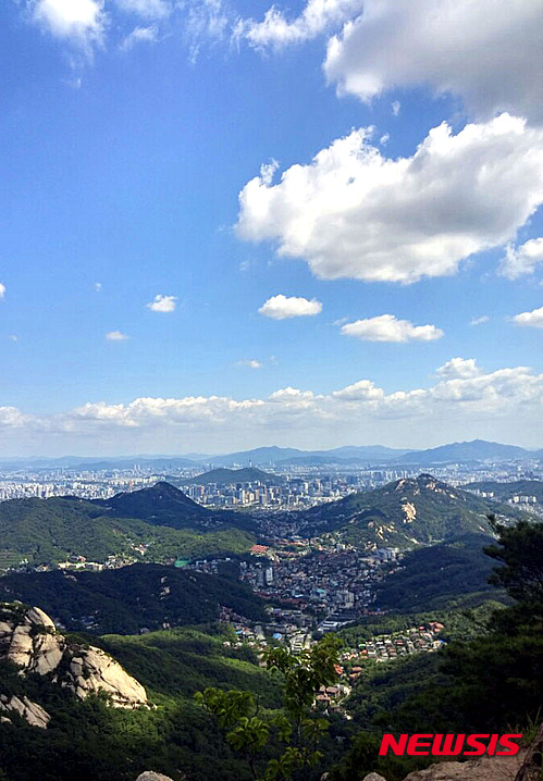 작성: 한국 네티즌본부