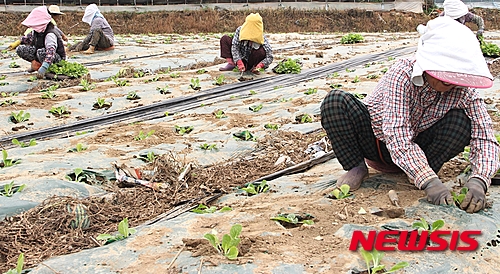 작성: 한국 네티즌본부