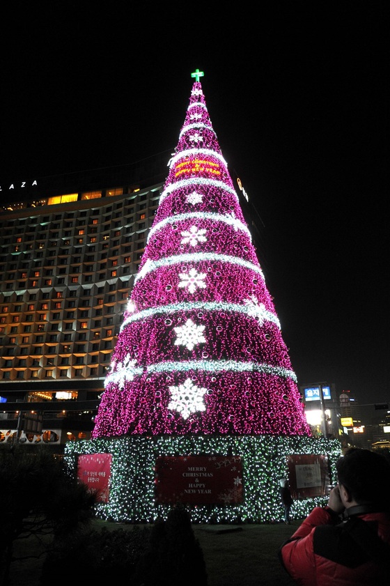 2014년 서울광장에 설치된 트리. 