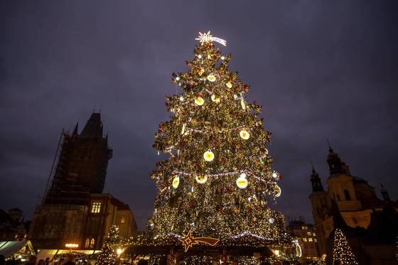 체코 프라하에 있는 크리스마스 마켓에 세워진 트리. [EPA=연합뉴스]