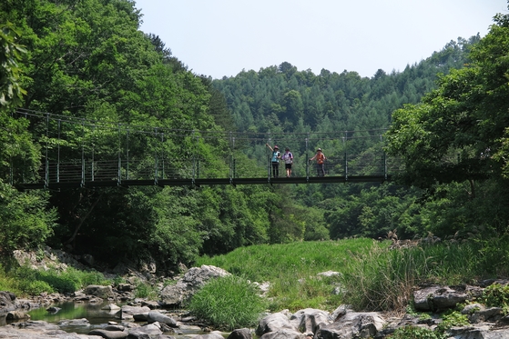 강원도 홍천 수타사계곡에서 올려다본 궝소 출렁다리. 허공을 걷는 맛이 일품이다. [사진 진우석]