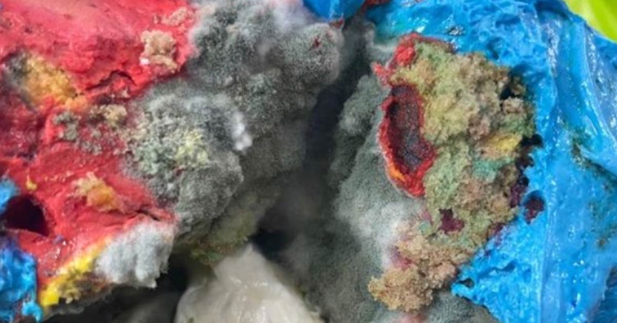 “I gave money and bought a complete mold”…  ‘Solby Cake’ controversy, what happened