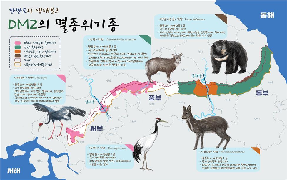 DMZ 생태 지도 [자료 환경부]